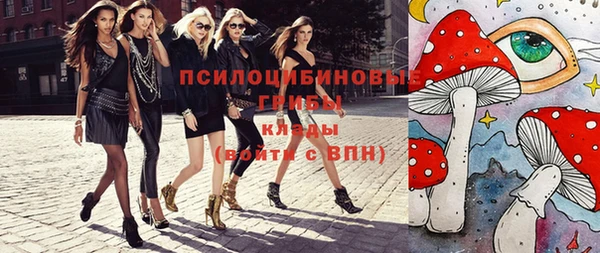 СК Зерноград