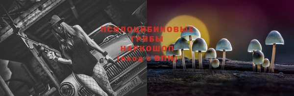 PSILOCYBIN Инсар