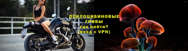 СК Зерноград